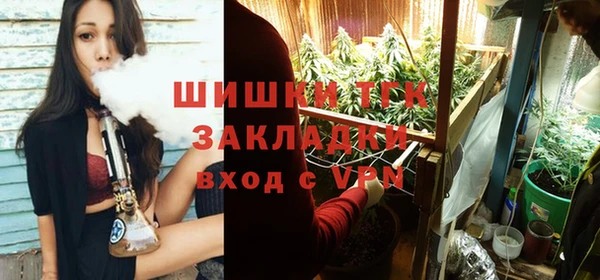 индика Лагань