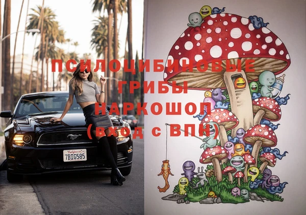 прущие крисы Кукмор